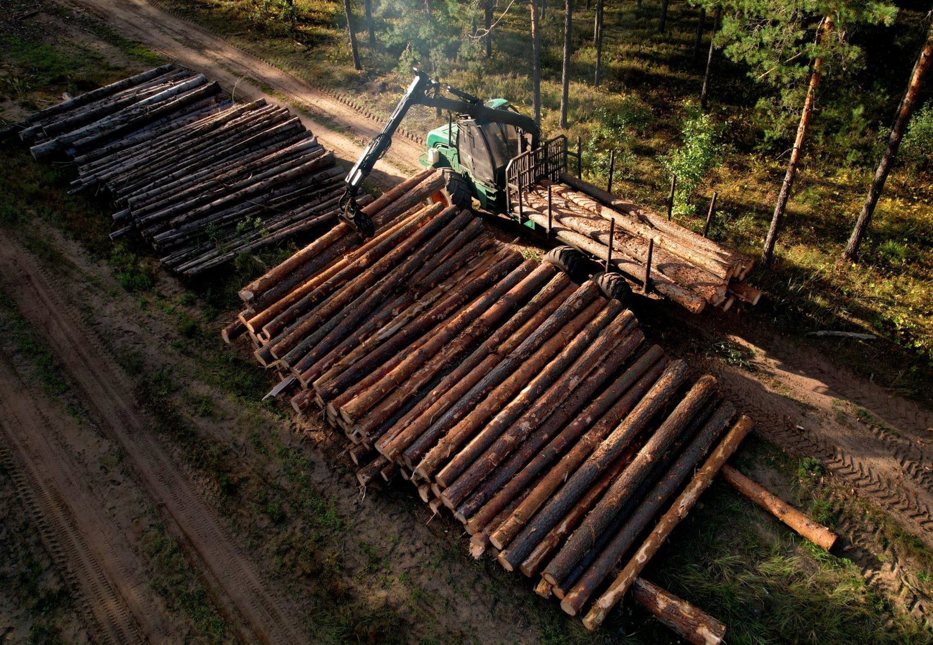 Manutenzione Forestale e Legname