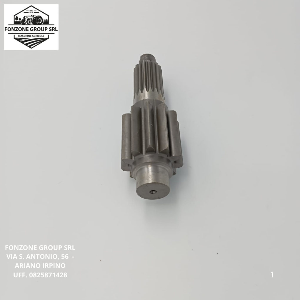 PIGNONE LANDINI CODICE 1824714M2