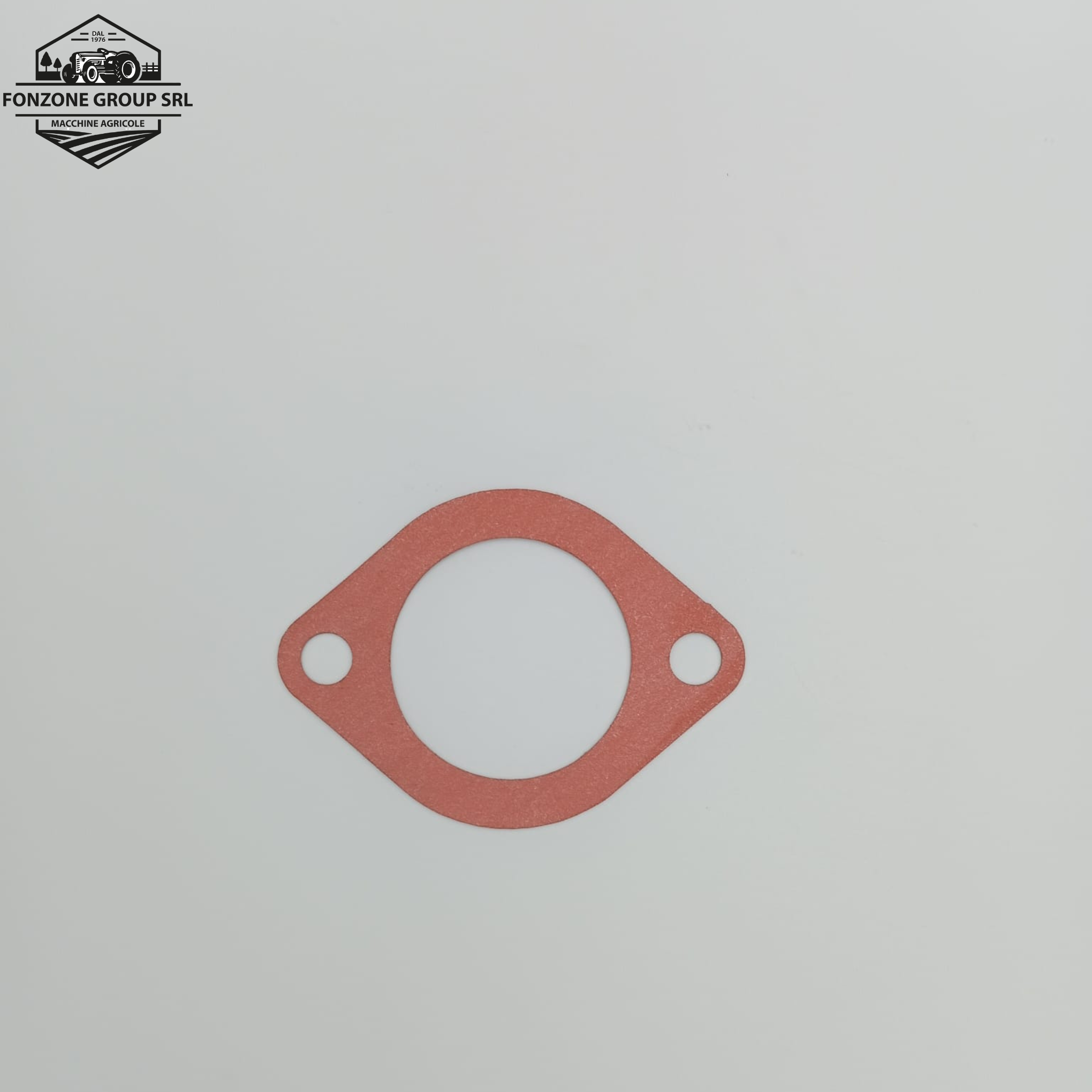 GUARNIZIONE ORIGINALE LANDINI CODICE 36834169 ; CODICE NUOVO 6677012A1