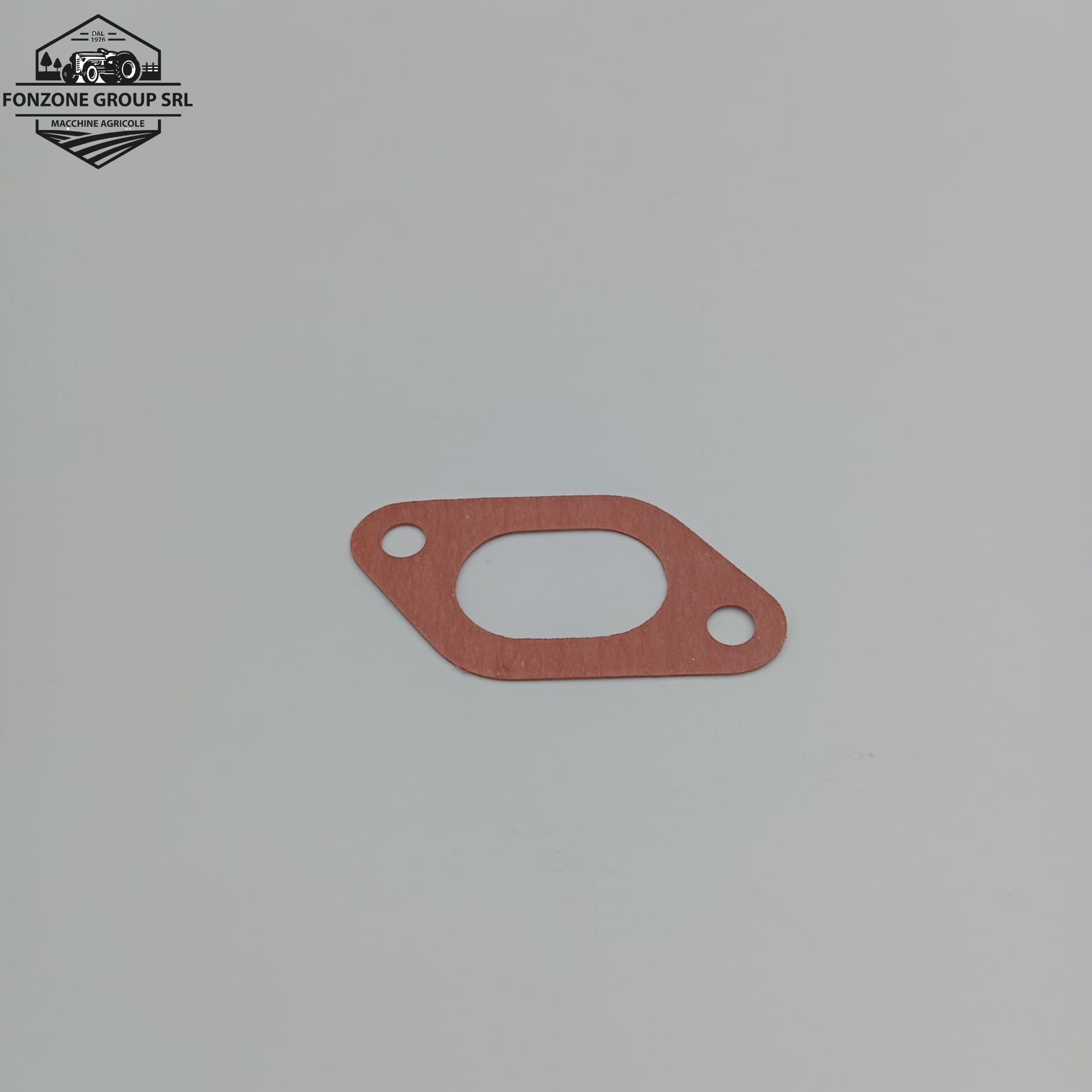 GUARNIZIONE ORIGINALE LANDINI CODICE 36862138; CODICE NUOVO 6677058A1