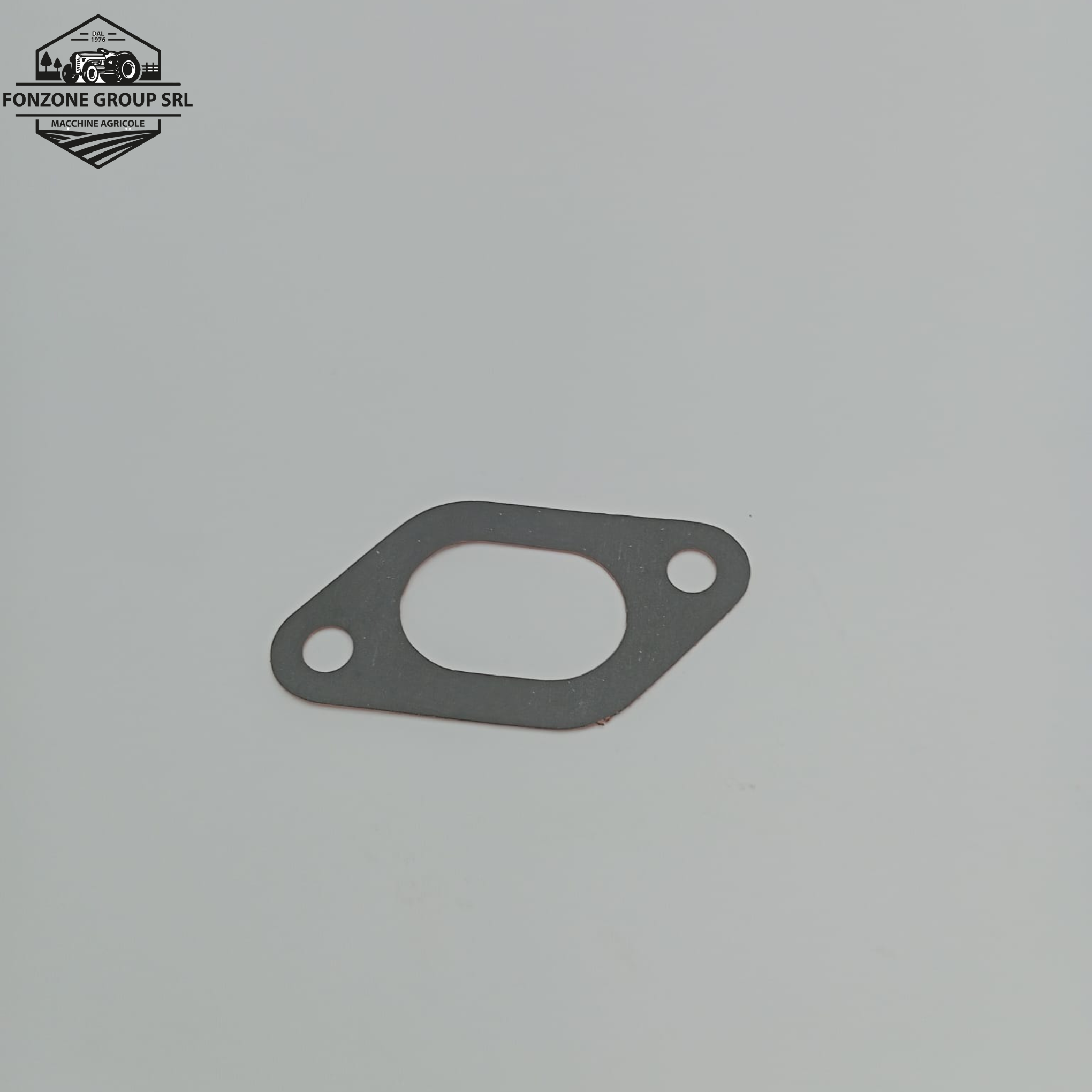 GUARNIZIONE ORIGINALE LANDINI CODICE 36862138; CODICE NUOVO 6677058A1