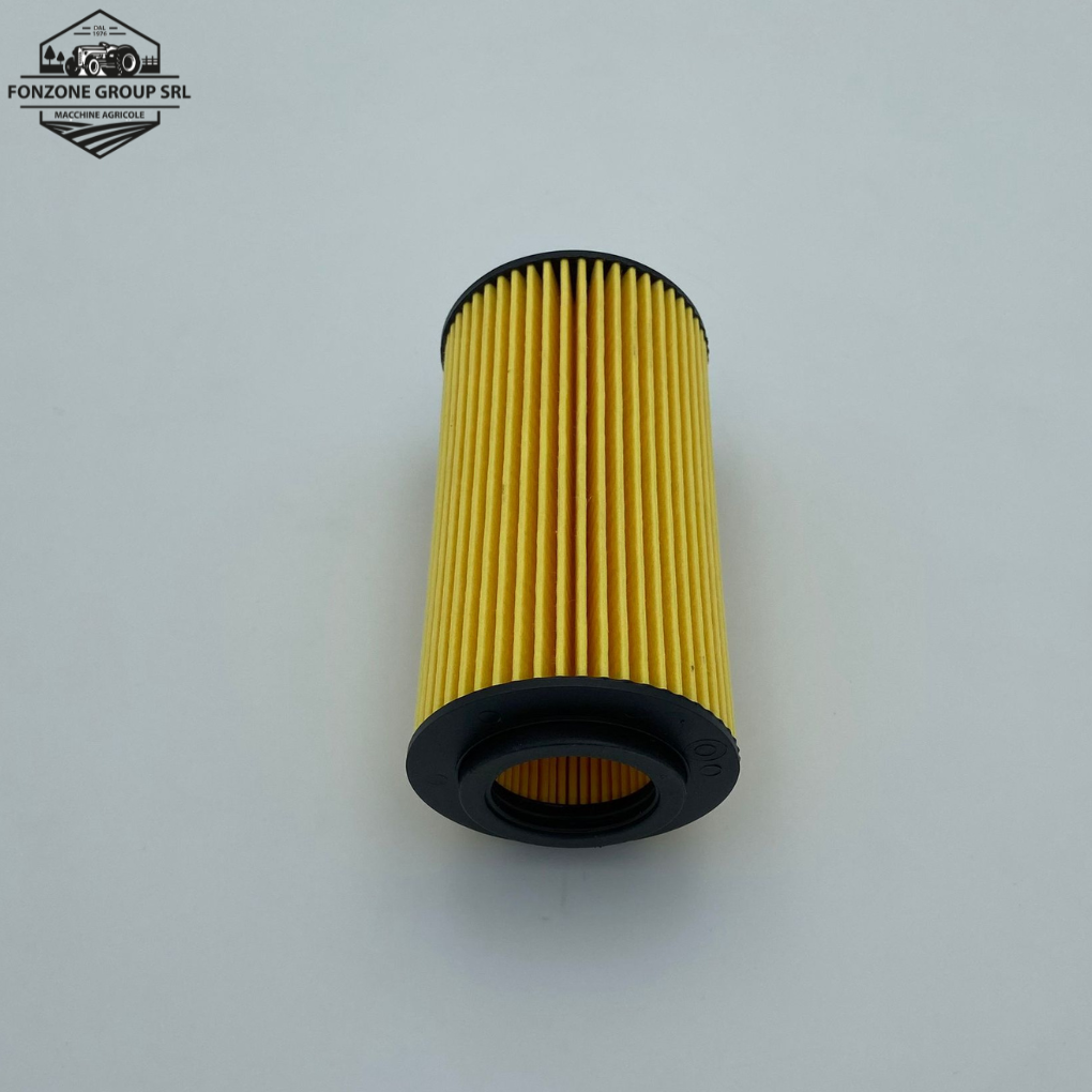 Filtro olio motore 6654853A1