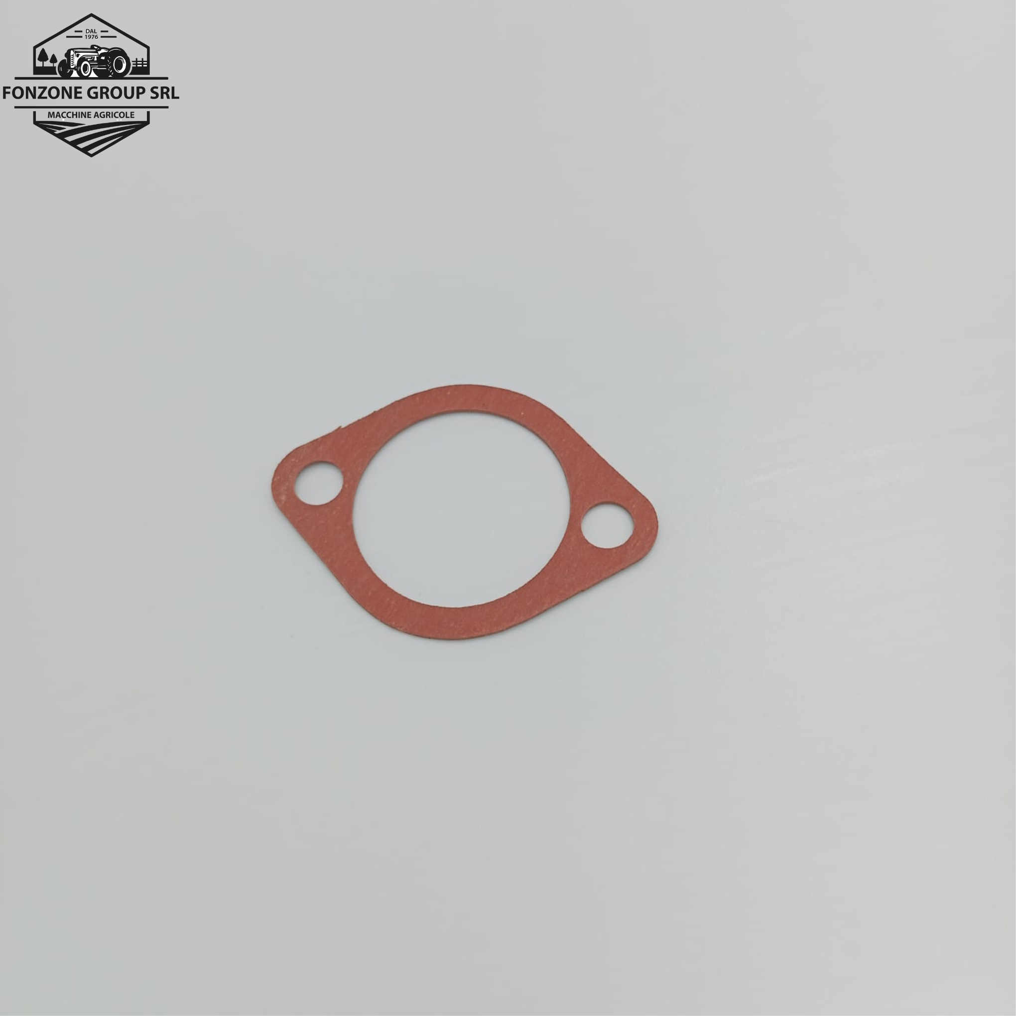 GUARNIZIONE ORIGINALE LANDINI CODICE 36833163 CODICE NUOVO 6677007A1